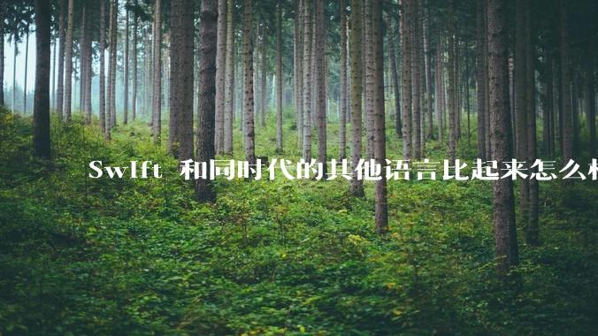 Swift 和同时代的其他语言比起来怎么样？