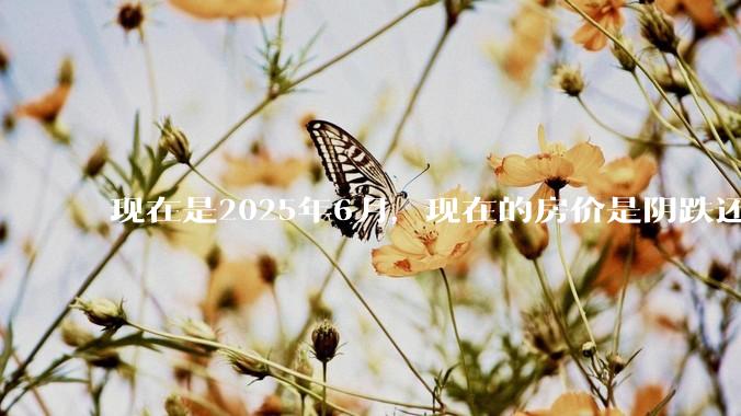 现在是2025年6月，现在的房价是阴跌还是暴跌？还会继续跌多久？是否已经开始分化?