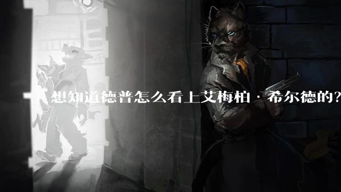 想知道德普怎么看上艾梅柏·希尔德的？